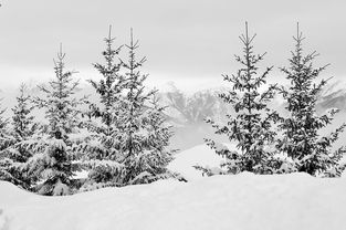 九游娱乐官网 (JIUYOU)-世界青少年滑雪比赛在崇山峻岭中顺利落幕,全国青少年滑雪锦标赛