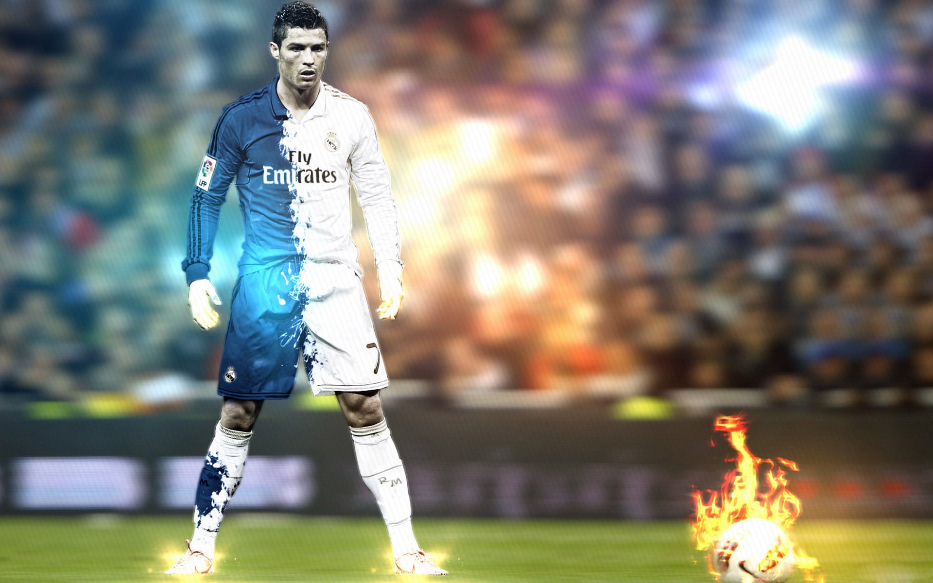 伊朗马术协会与非洲马术协会开展技术援助项目，提升当地水平。