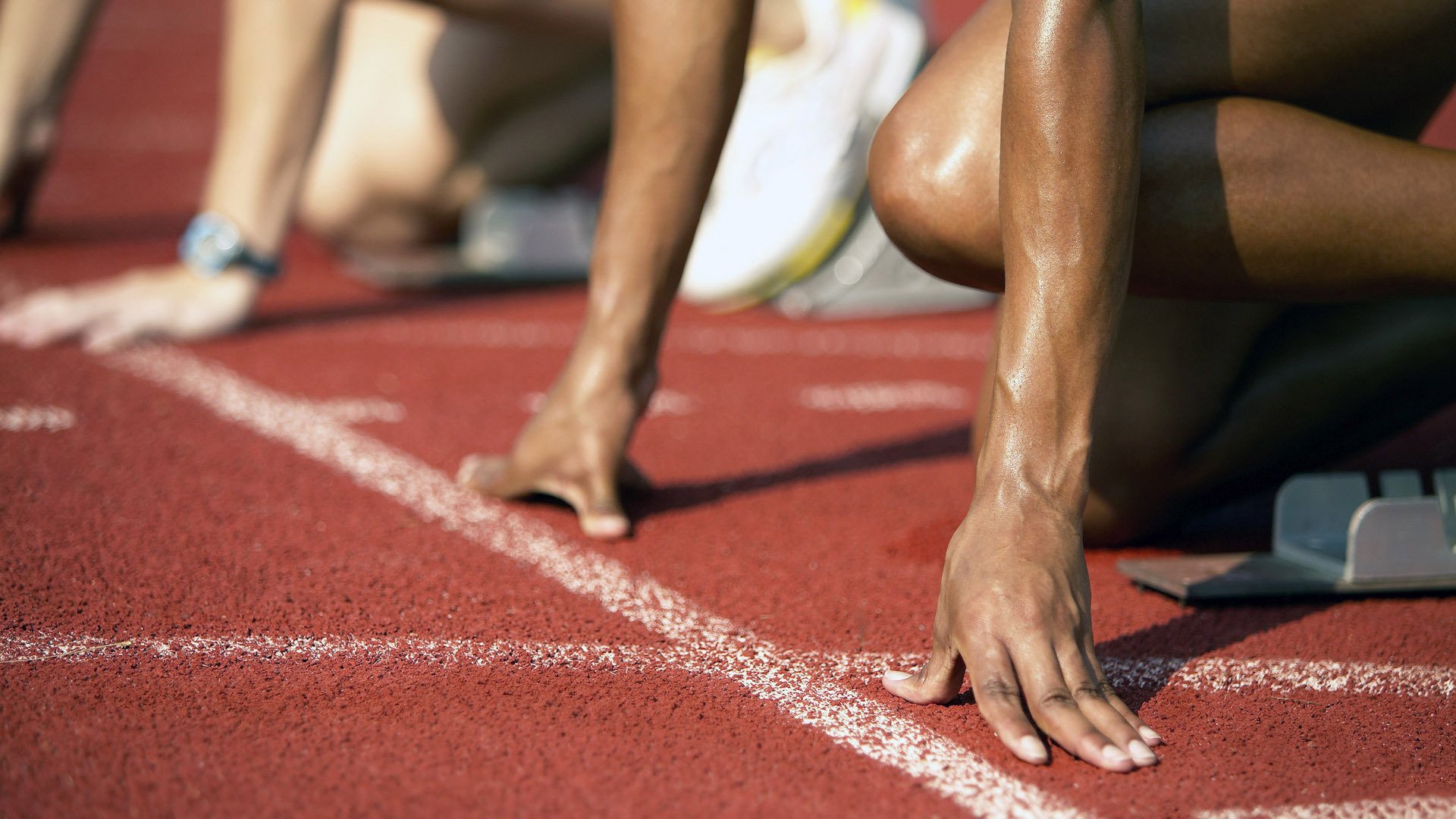 国际游泳锦标赛中国队刷新多项世界纪录，国际游泳冠军系列赛